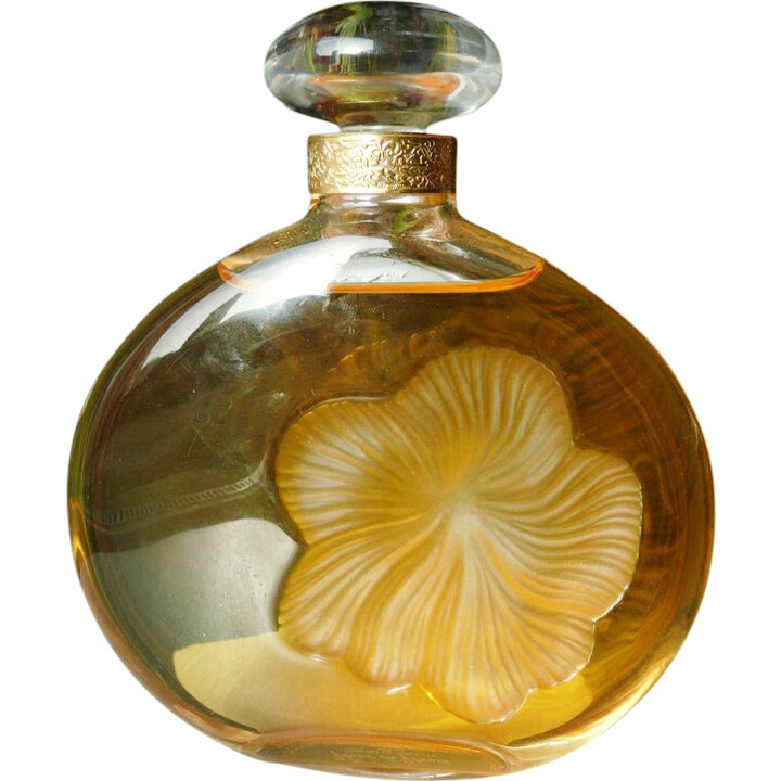 Fleur de Fleurs Édition Limitée Numérotée